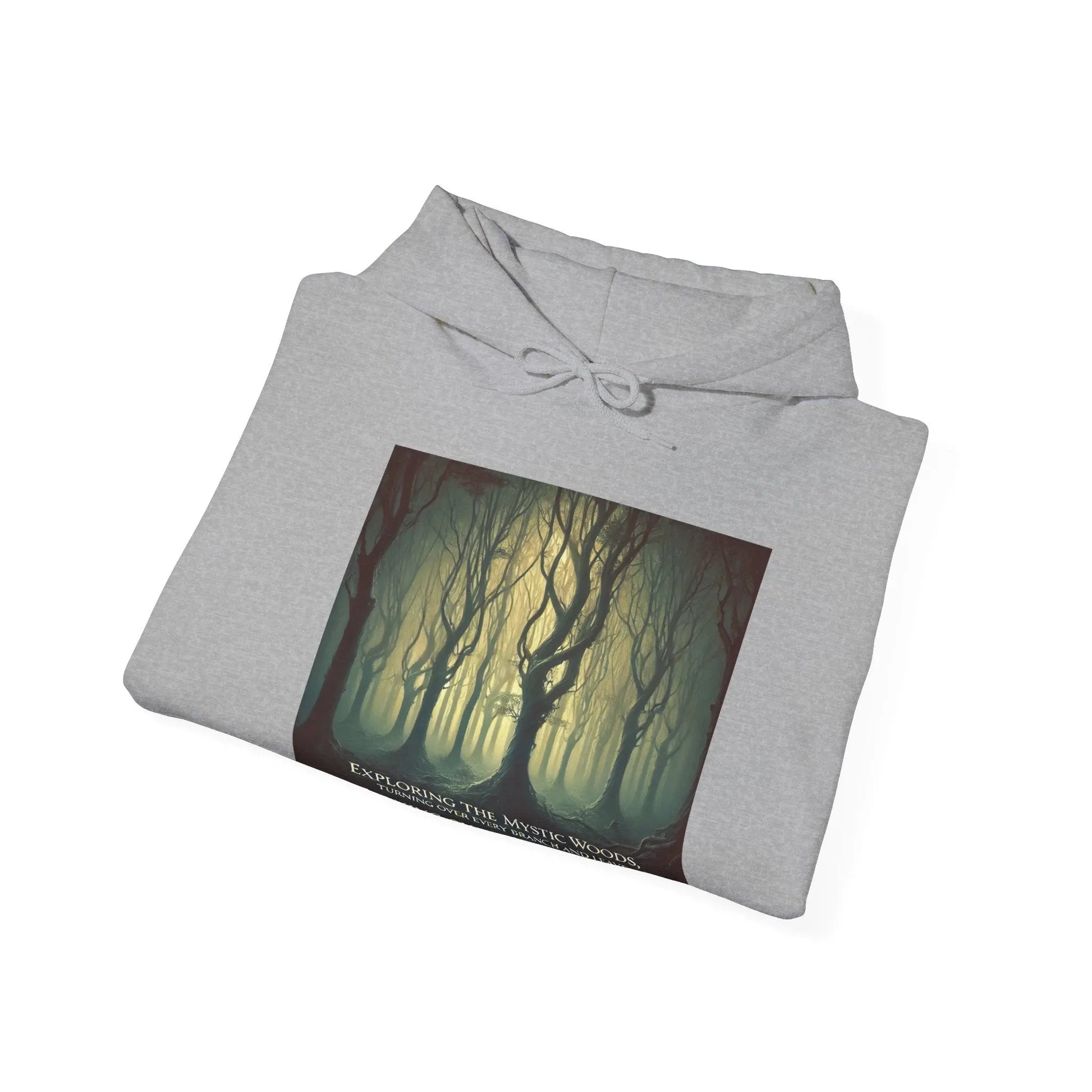 Azrodyl the Knight Hooded Sweatshirt – Limited Edition (3/5) | Beschikbaar in Diverse Kleuren en Maten Printify