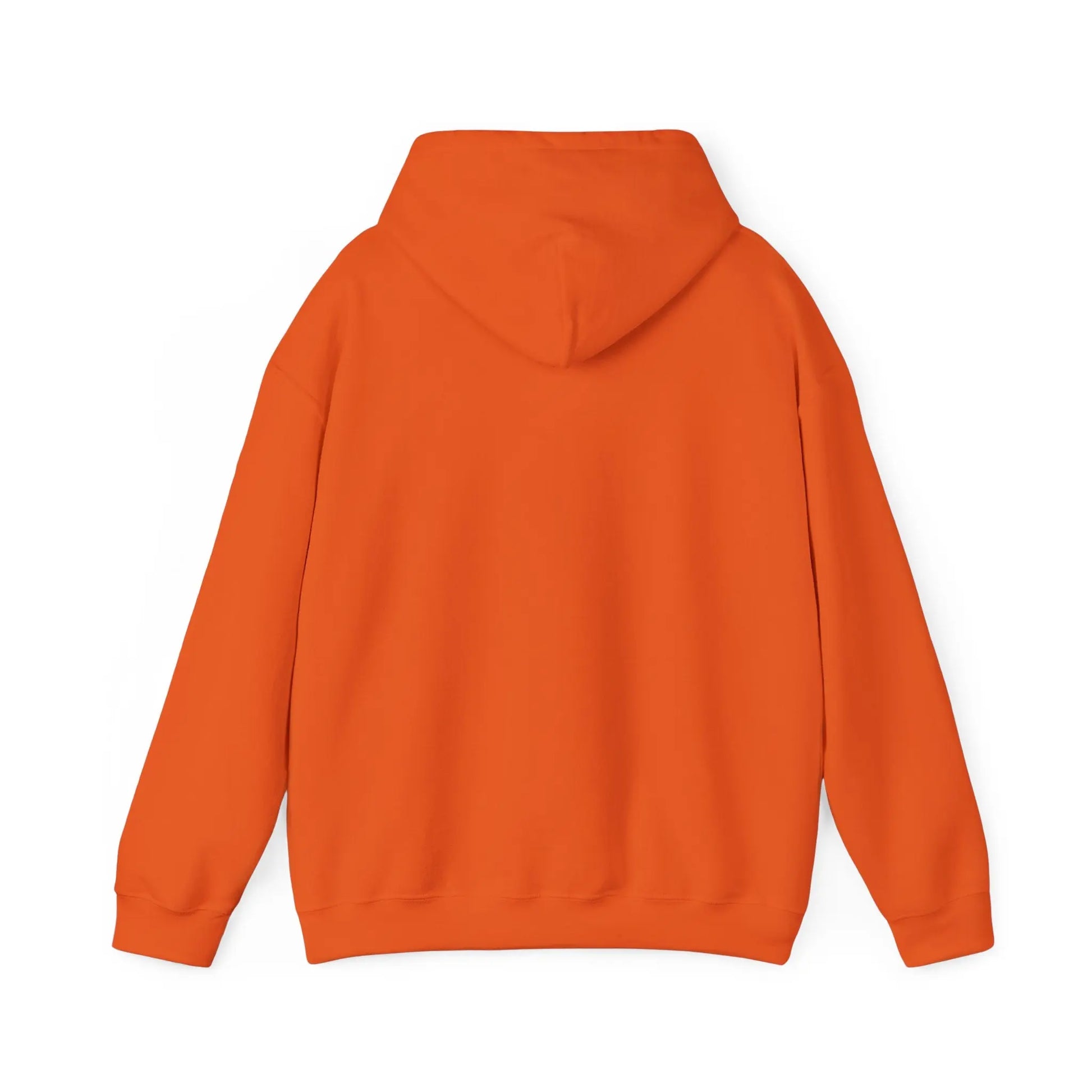 Azrodyl the Knight Hooded Sweatshirt – Limited Edition (1.5/5) | Beschikbaar in Diverse Kleuren en Maten Printify