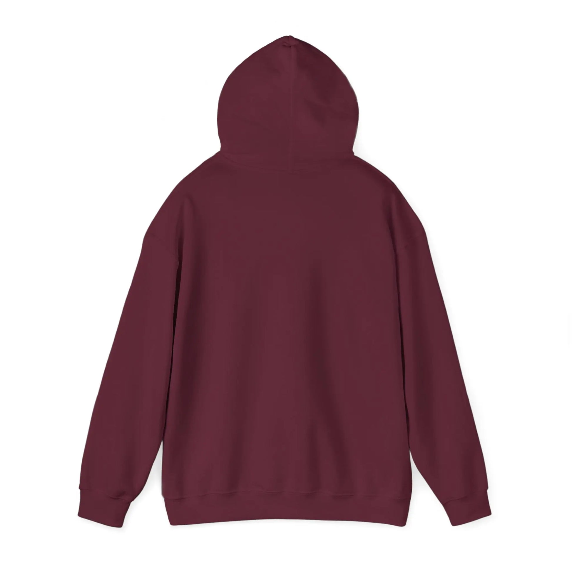 Azrodyl the Knight Hooded Sweatshirt – Limited Edition (2/5) | Beschikbaar in Diverse Kleuren en Maten Printify