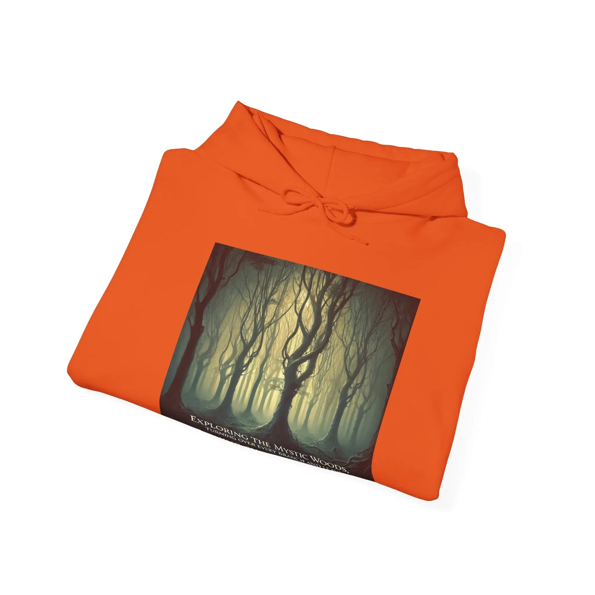 Azrodyl the Knight Hooded Sweatshirt – Limited Edition (3/5) | Beschikbaar in Diverse Kleuren en Maten Printify