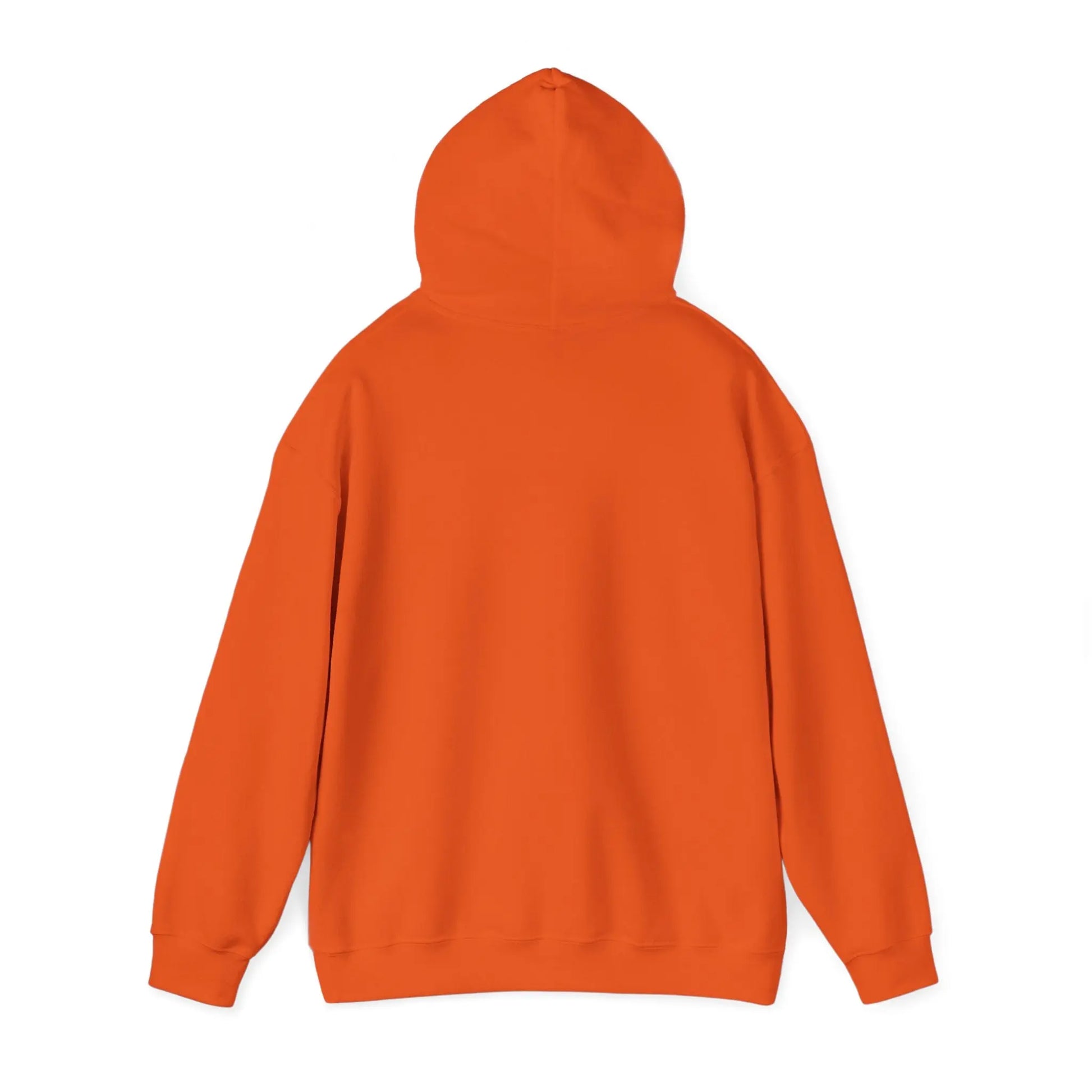 Azrodyl the Knight Hooded Sweatshirt – Limited Edition (1.5/5) | Beschikbaar in Diverse Kleuren en Maten Printify