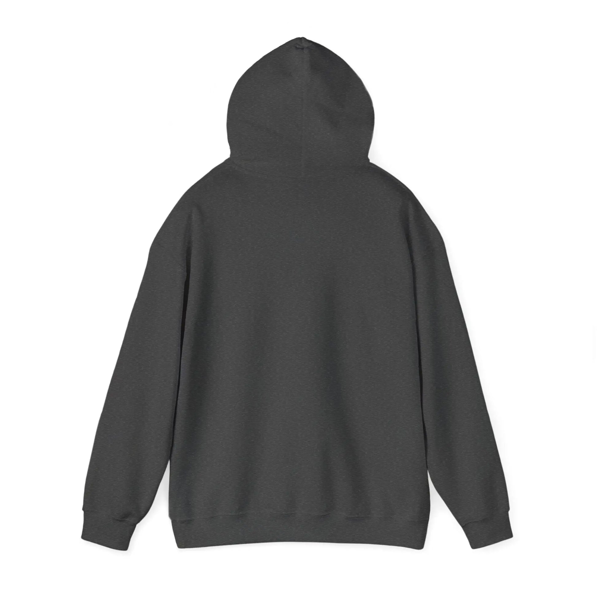 Azrodyl the Knight Hooded Sweatshirt – Limited Edition (1/5) | Beschikbaar in Diverse Kleuren en Maten Printify