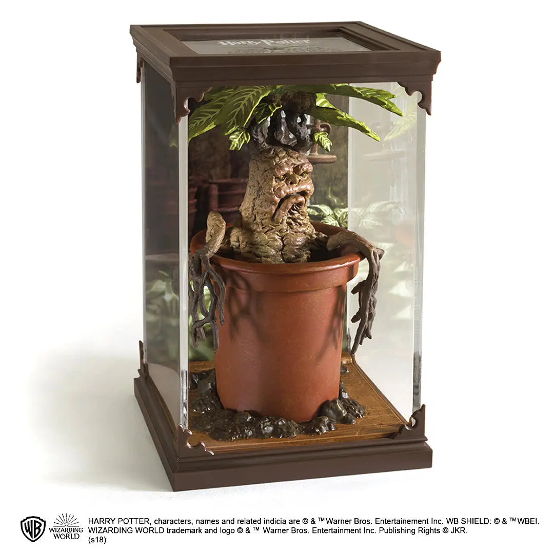 Harry Potter Magical Creatures, Mandrake, NN7699, Foto: 2