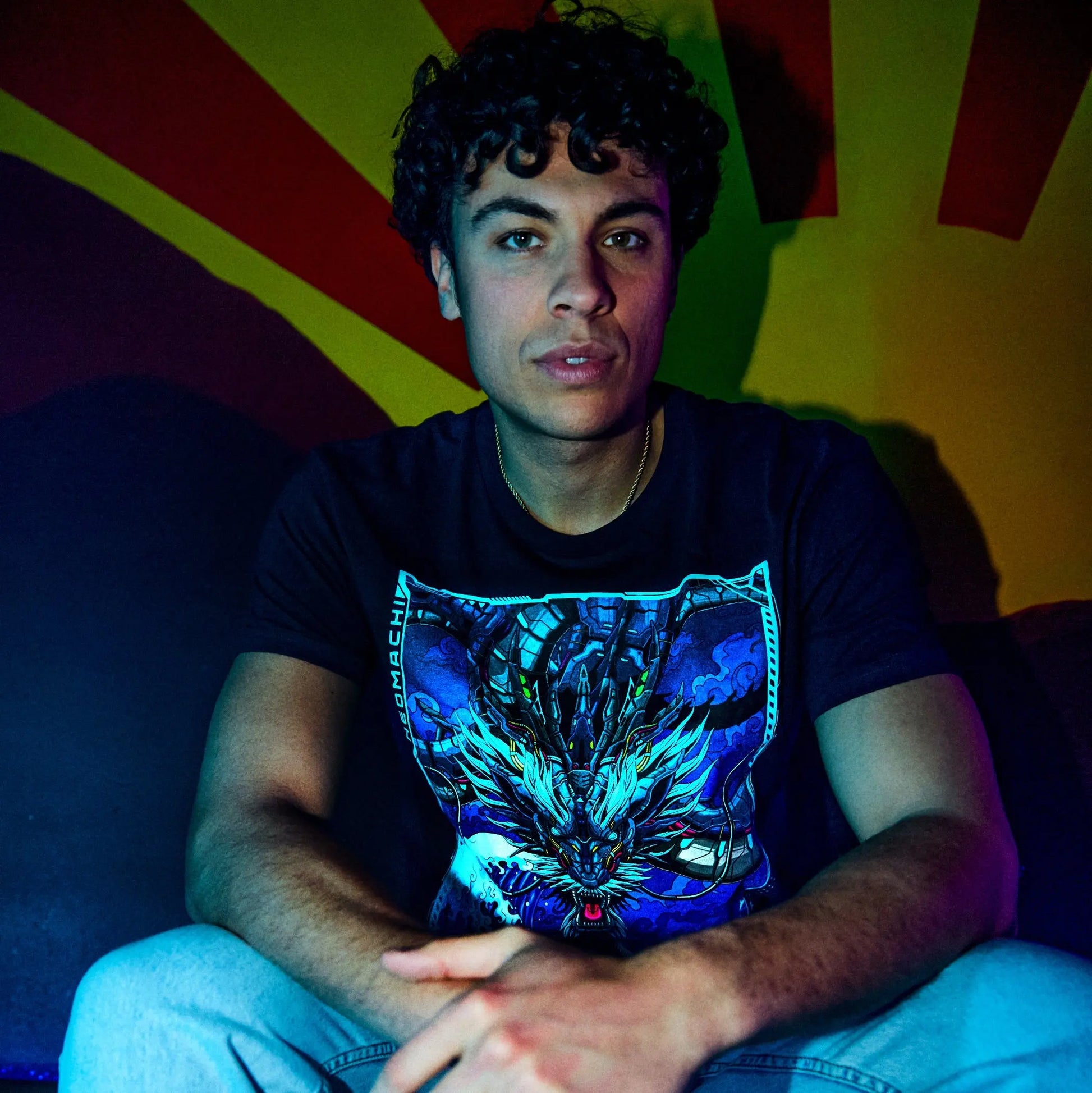 harry potter merchandise, the noble collection