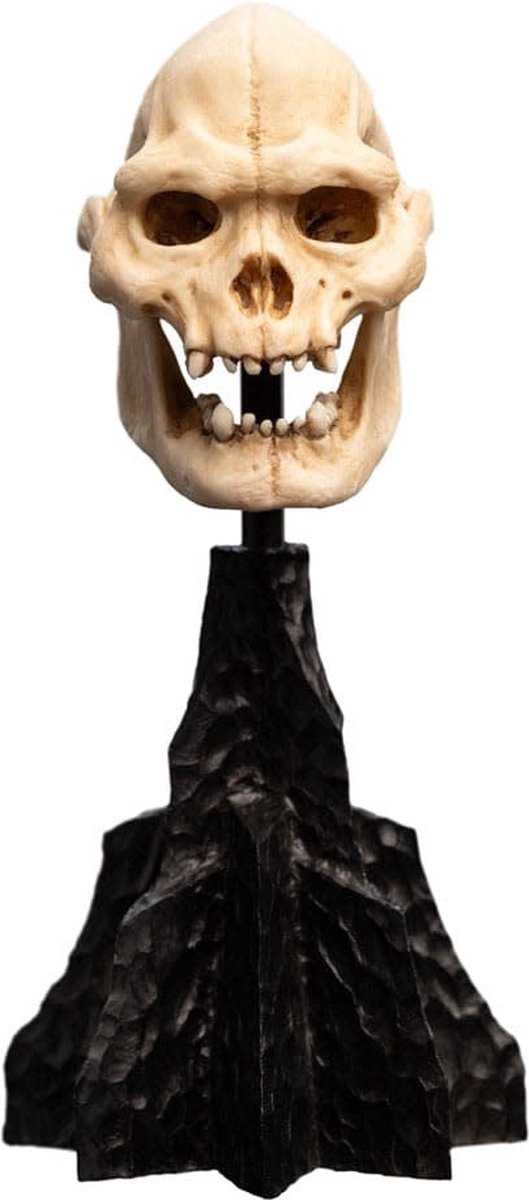 Weta Workshop Lord of the Rings Skull of Lurtz Mini Statue 14 cm officiële collectible Foto: 6