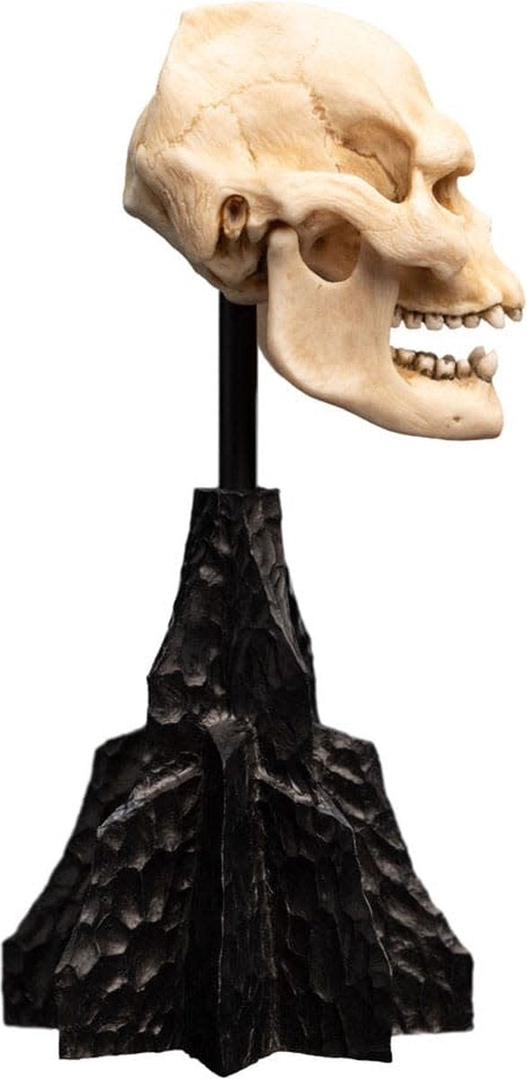 Weta Workshop Lord of the Rings Skull of Lurtz Mini Statue 14 cm officiële collectible Foto: 5