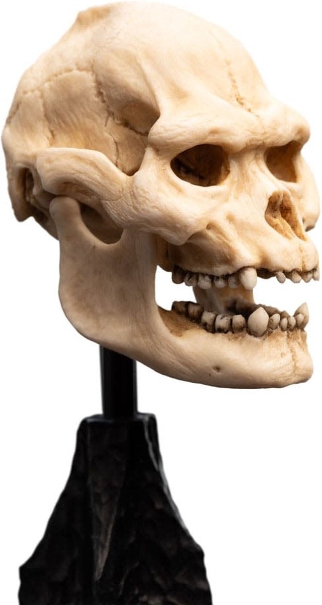 Weta Workshop Lord of the Rings Skull of Lurtz Mini Statue 14 cm officiële collectible Foto: 4