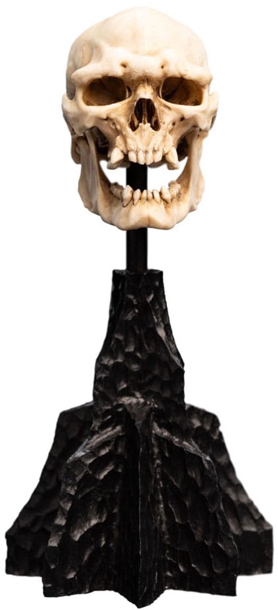 Weta Workshop Lord of the Rings Skull of a Mordor Orc Mini Statue Foto: 6
