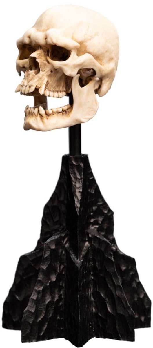 Weta Workshop Lord of the Rings Skull of a Mordor Orc Mini Statue Foto: 5