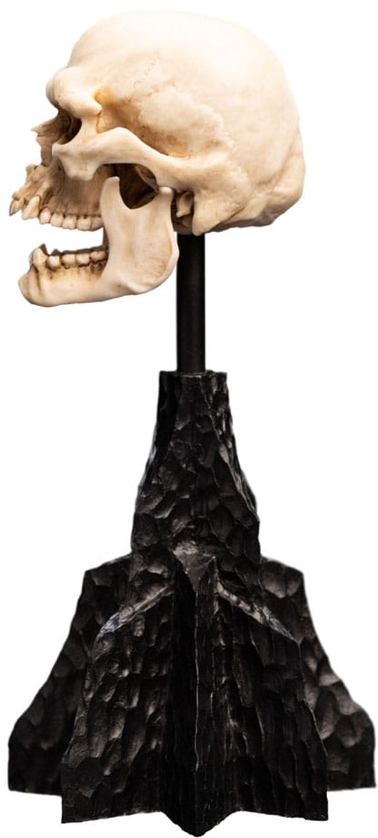 Weta Workshop Lord of the Rings Skull of a Mordor Orc Mini Statue Foto: 2